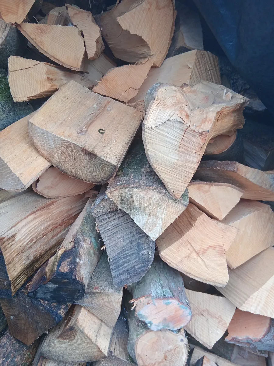Firewood