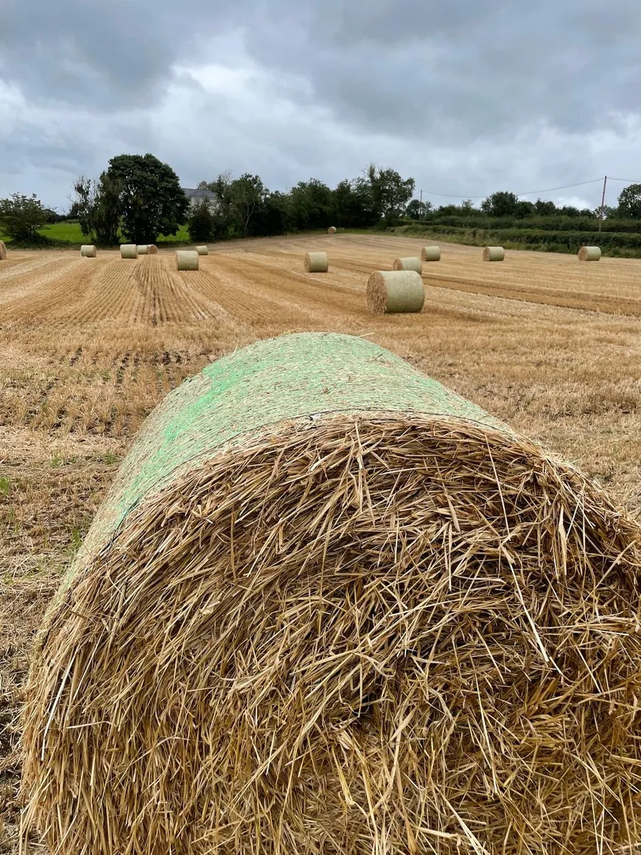 Straw - Image 1