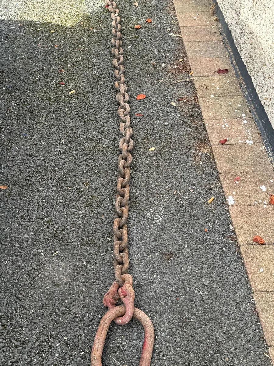 10 foot chain - Image 1