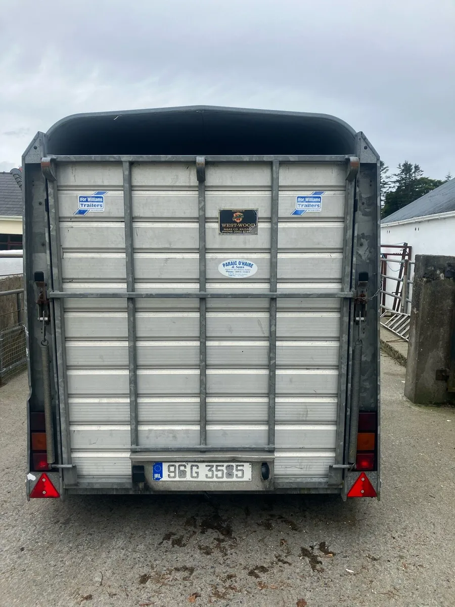 8x5 Ifor  Williams trailer - Image 2