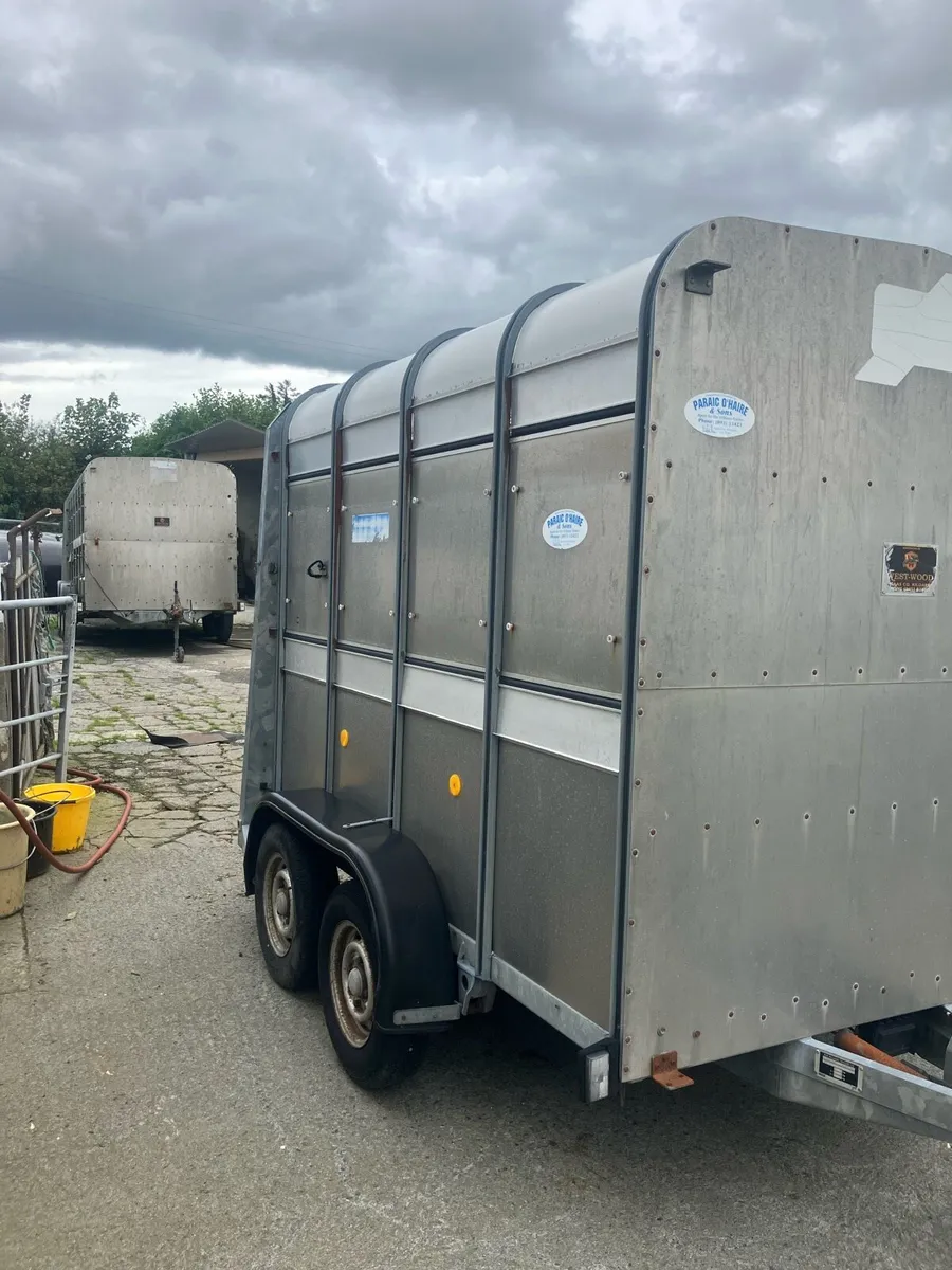 8x5 Ifor  Williams trailer - Image 3