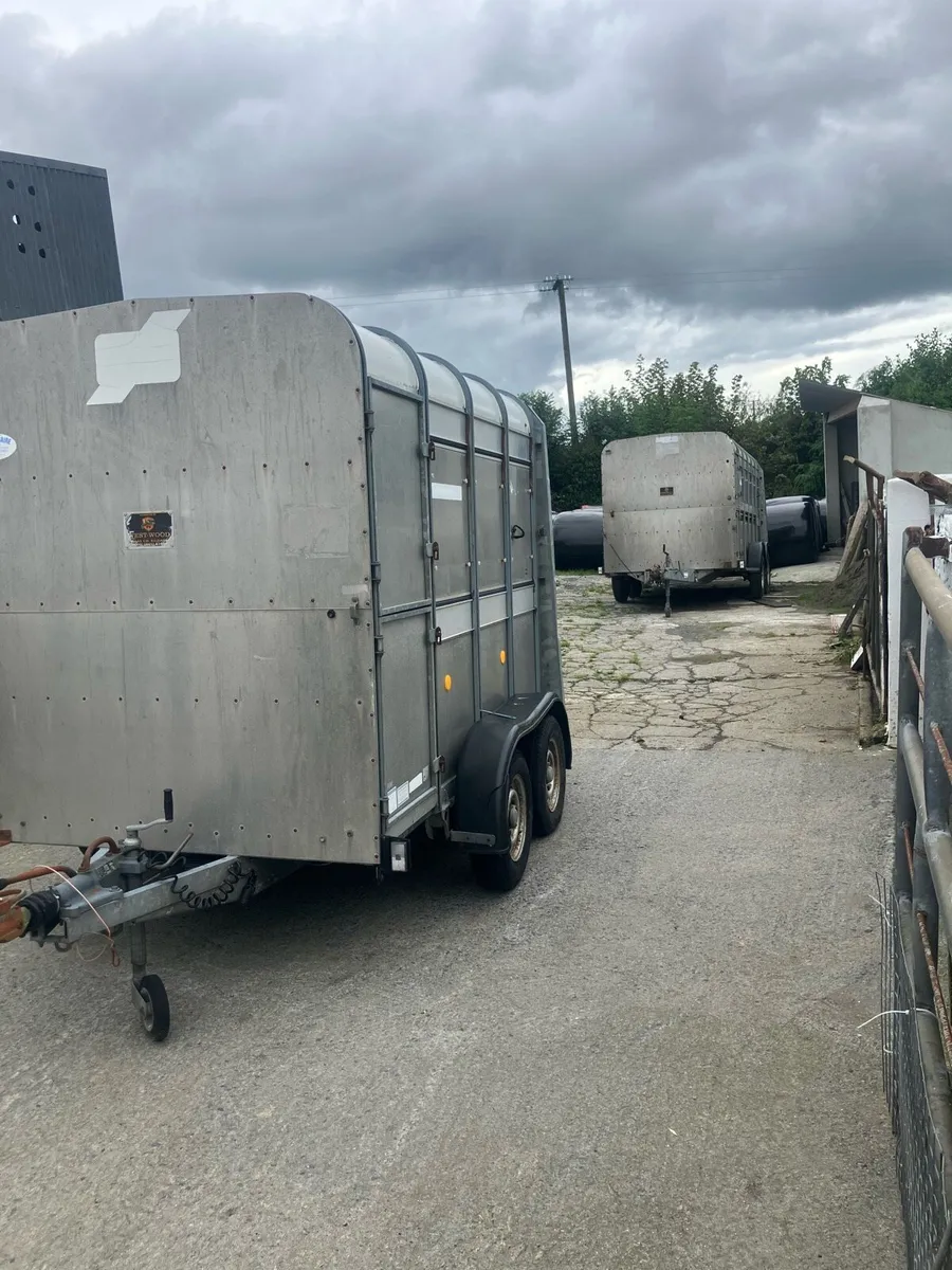 8x5 Ifor  Williams trailer - Image 4