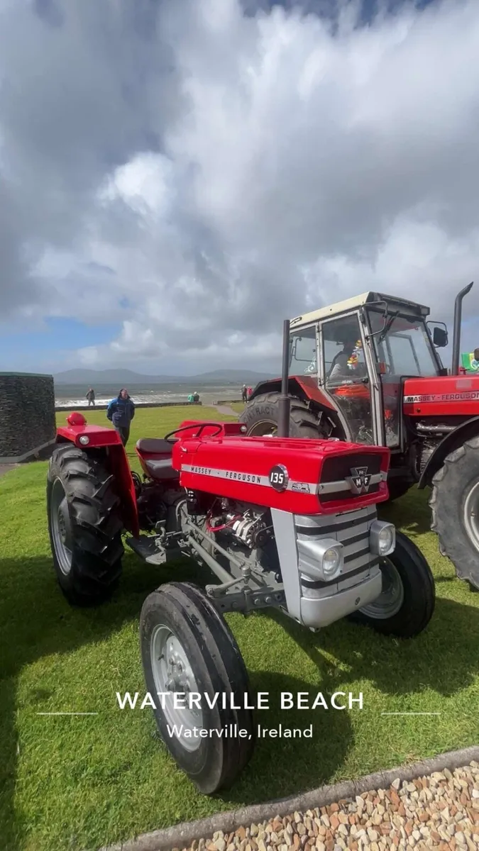 Massey Ferguson 135 - Image 3