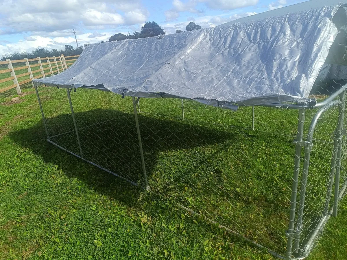 Dog run - Image 1