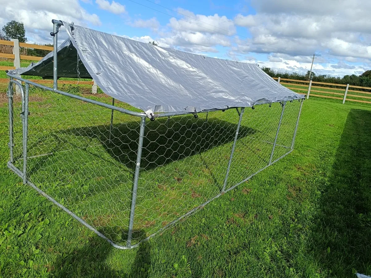 Dog run - Image 2