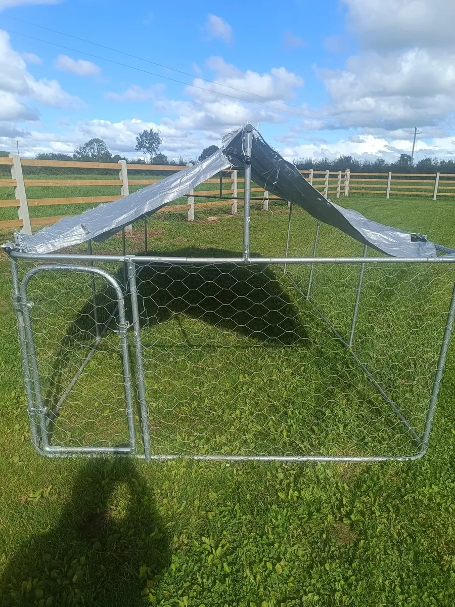 Dog run - Image 4