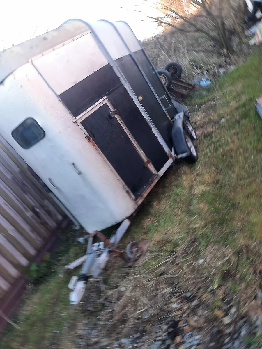 Horses trailer very good condition - Image 2