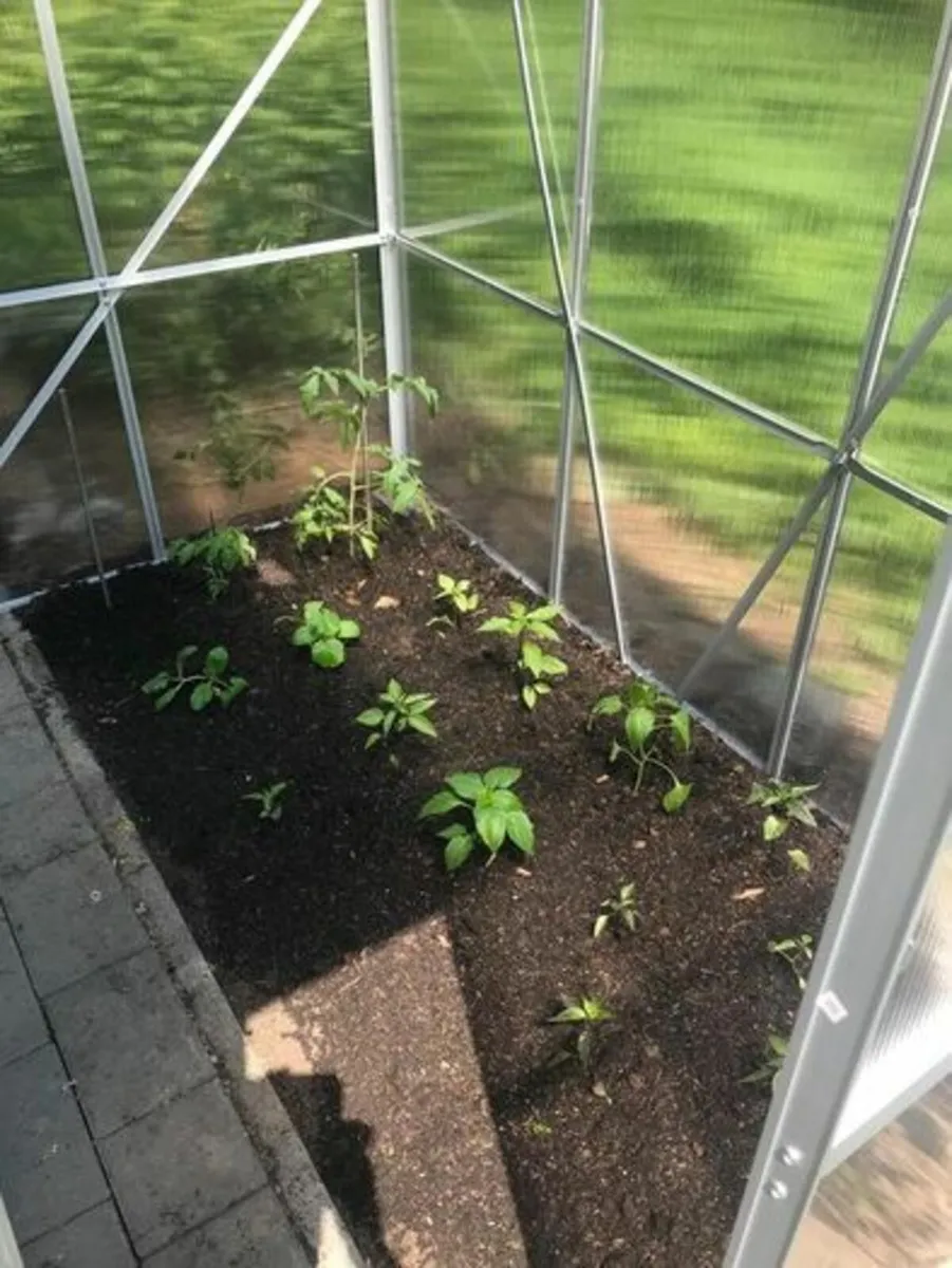 Aluminium Greenhouse 3.65 m3 - Image 3