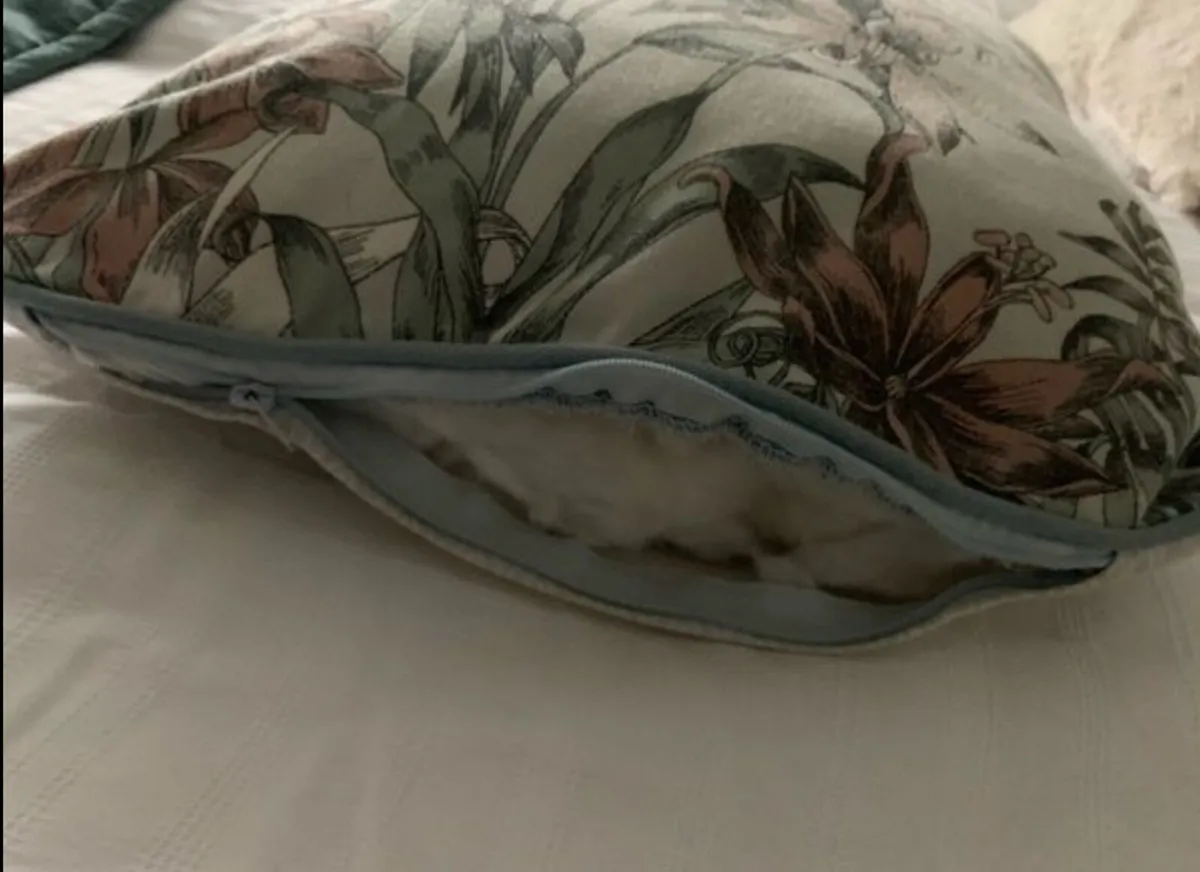 Selection of Scatter Cushions - Image 4