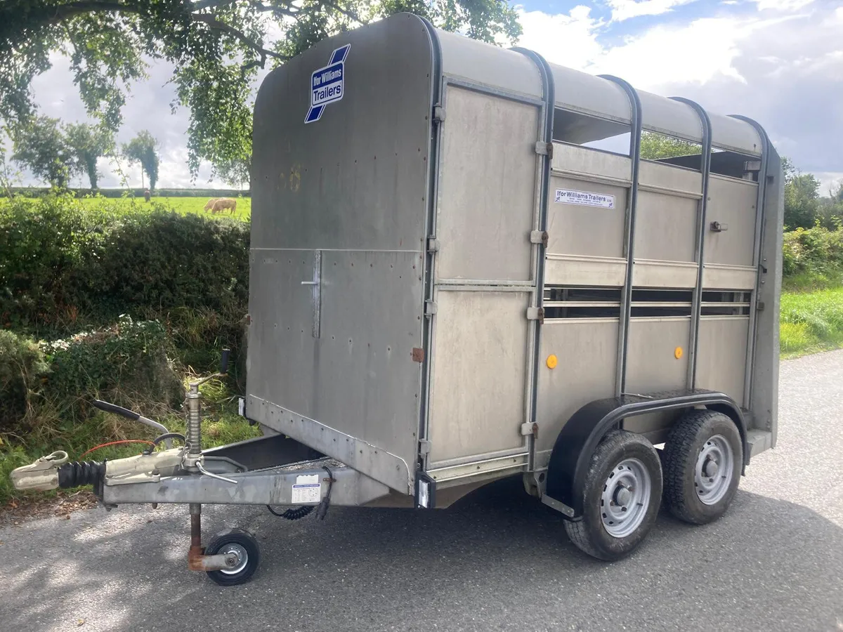 06 Ifor Williams ‘2 cow’ (8x5) Cattle Trailer - Image 1