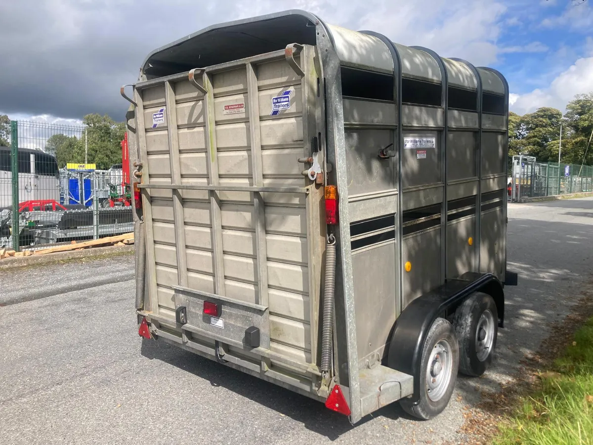 06 Ifor Williams ‘2 cow’ (8x5) Cattle Trailer - Image 2