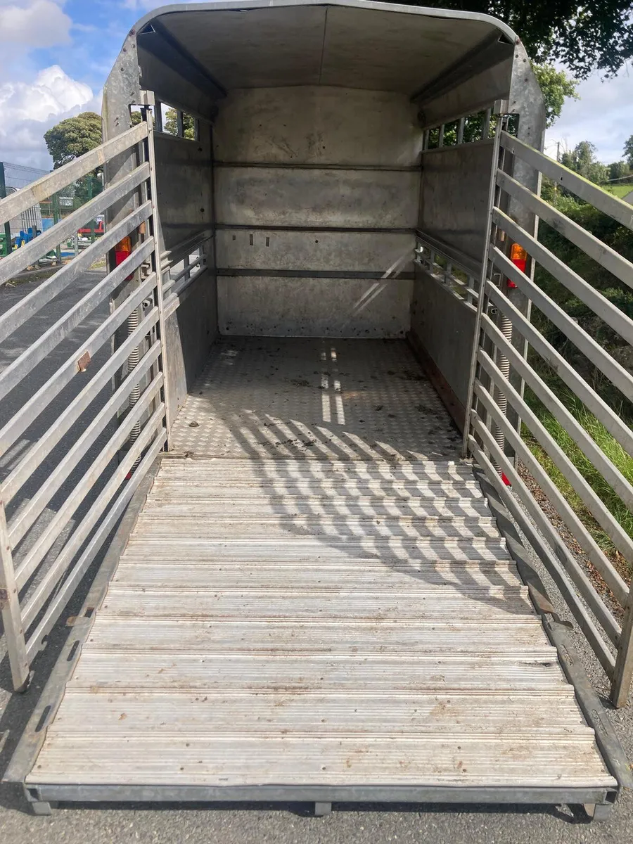 06 Ifor Williams ‘2 cow’ (8x5) Cattle Trailer - Image 3