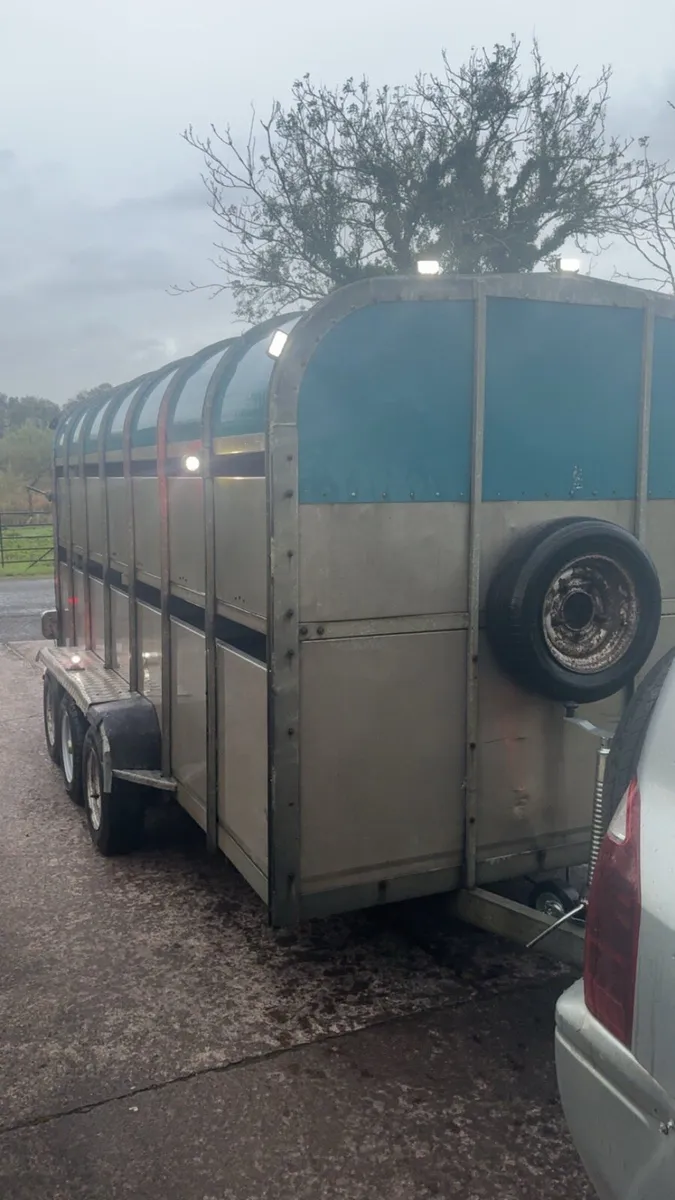 Crooks cattle / sheep trailer - Image 2