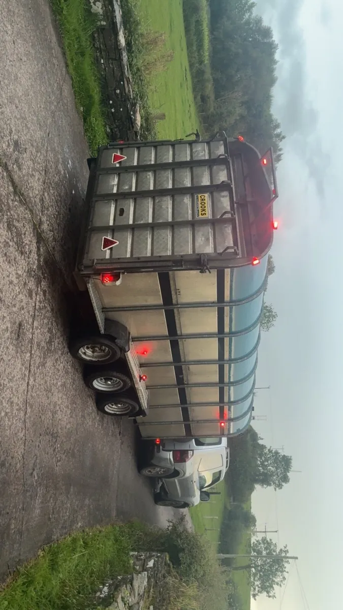 Crooks cattle / sheep trailer - Image 3