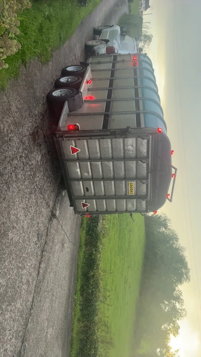Crooks cattle / sheep trailer - Image 4