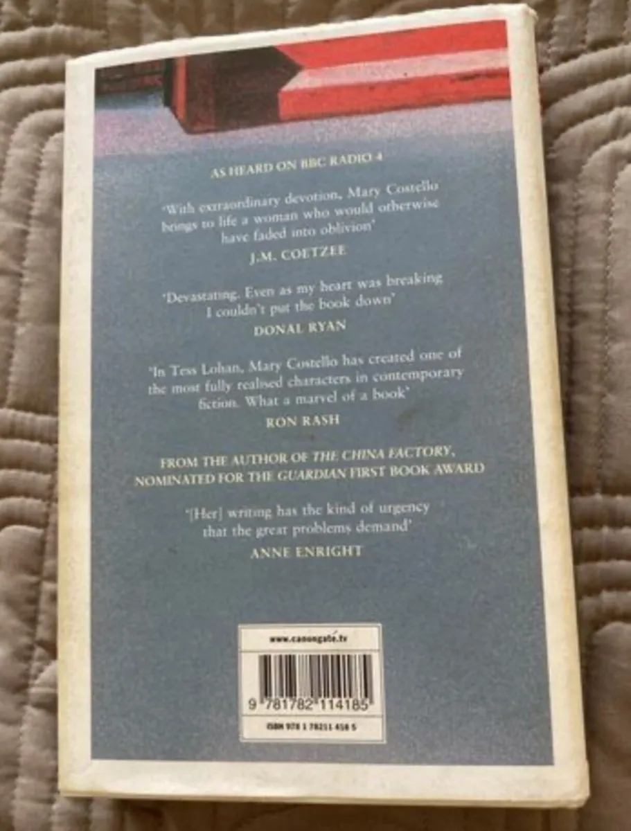 Book: Mary Costello, Academy Street - Image 2