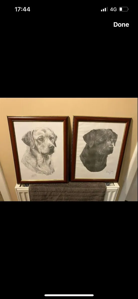 Pair of Mike Sibley signed Labrador prints - Image 1