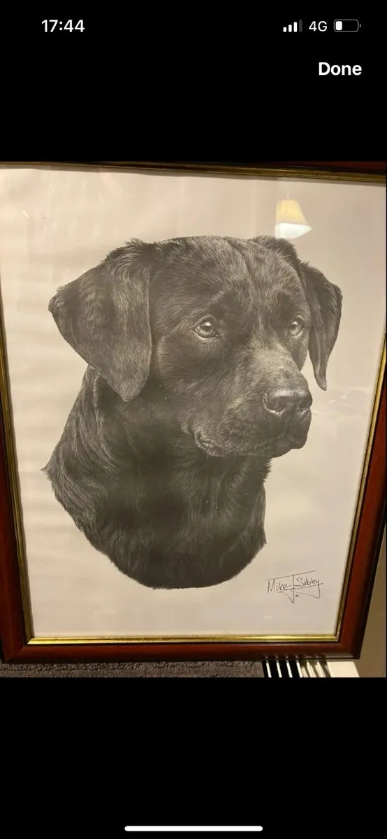Pair of Mike Sibley signed Labrador prints - Image 3