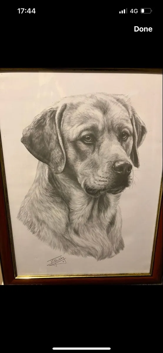 Pair of Mike Sibley signed Labrador prints - Image 4