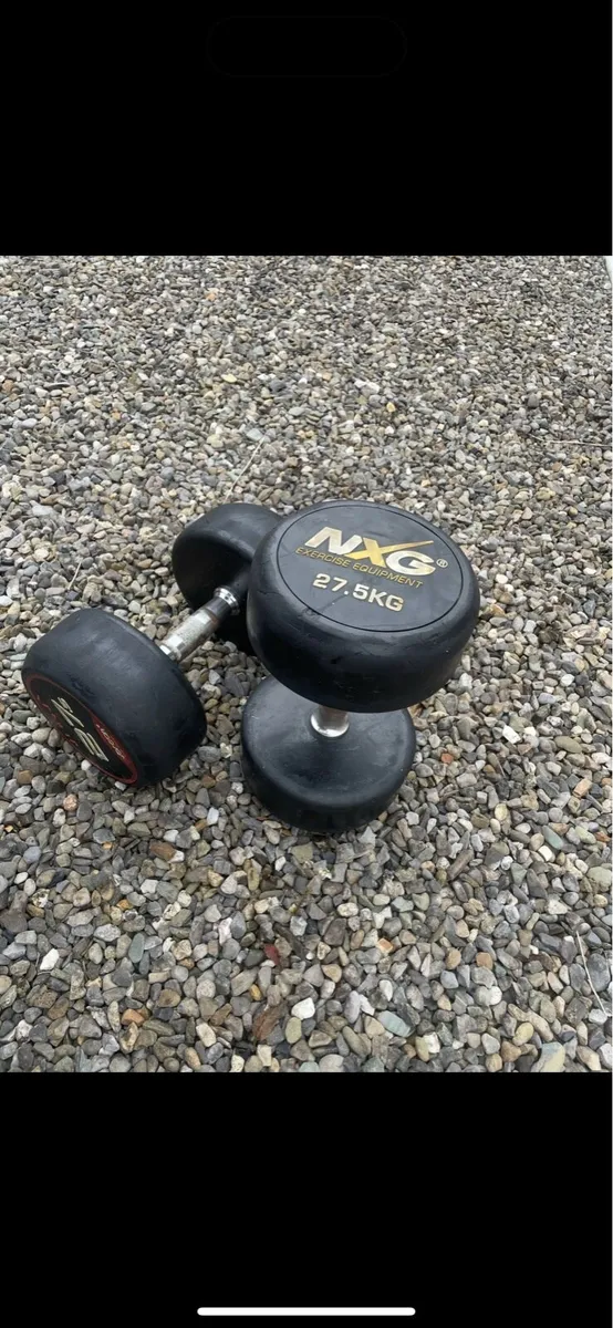 27.5kg dumbbells
