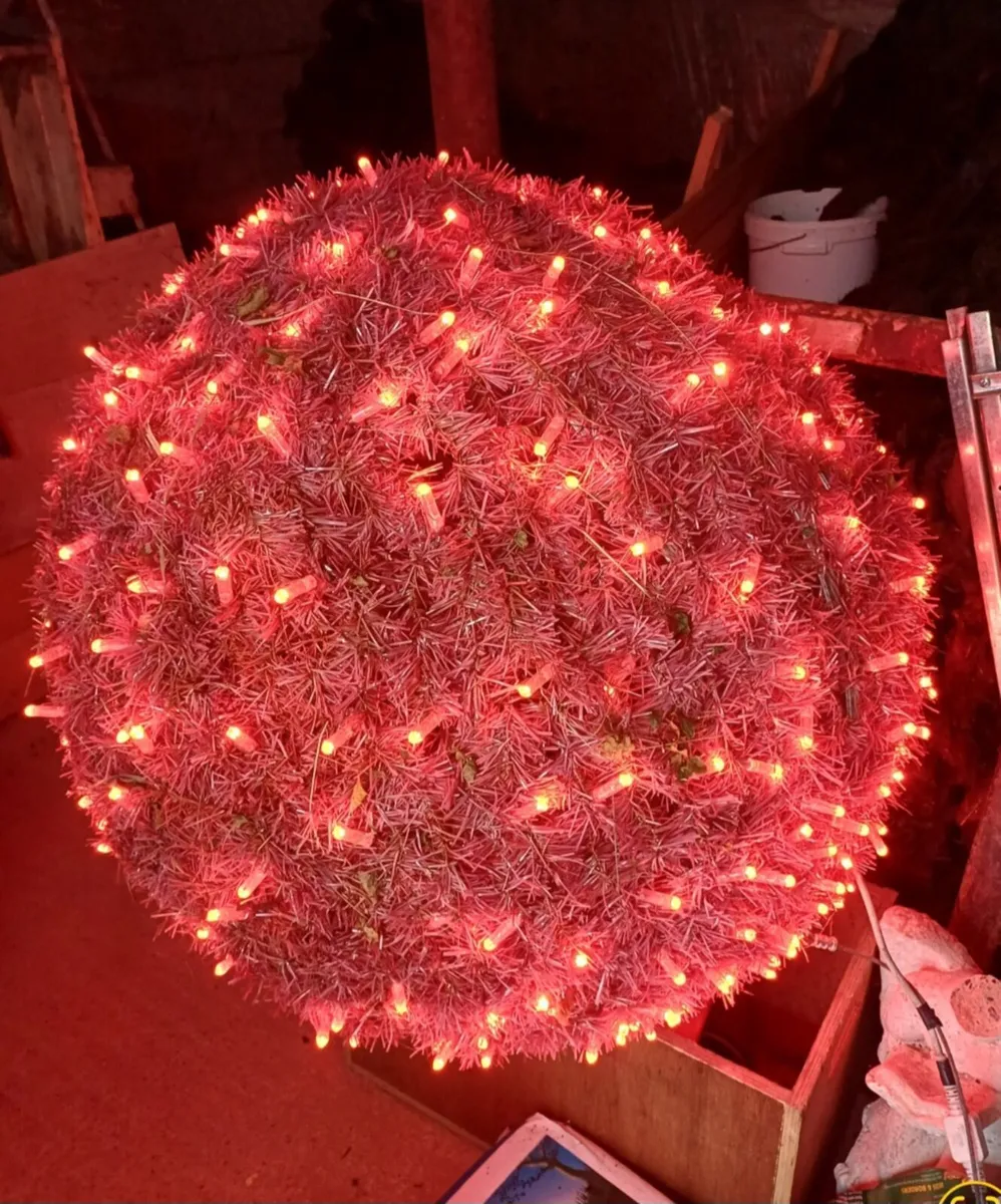 Outdoor christmas Lights - Image 1