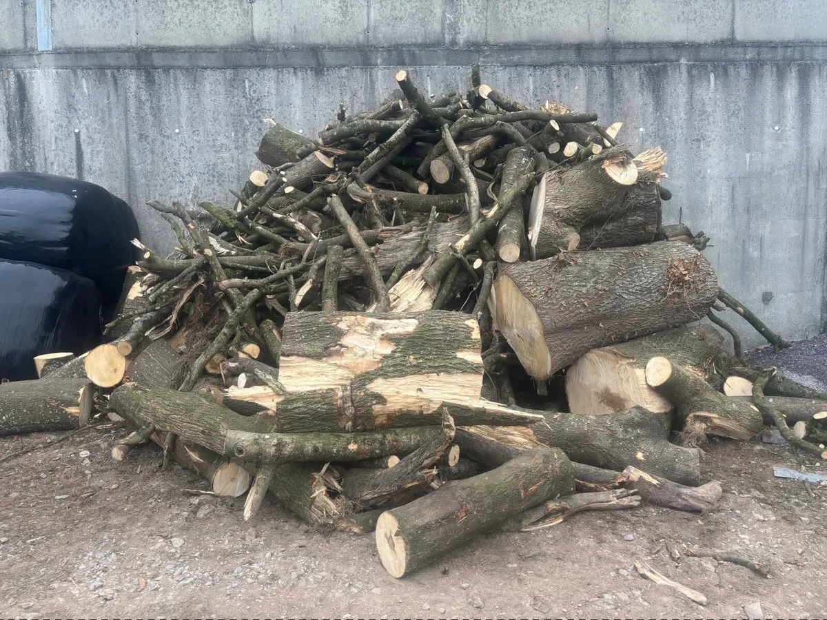 Ash firewood