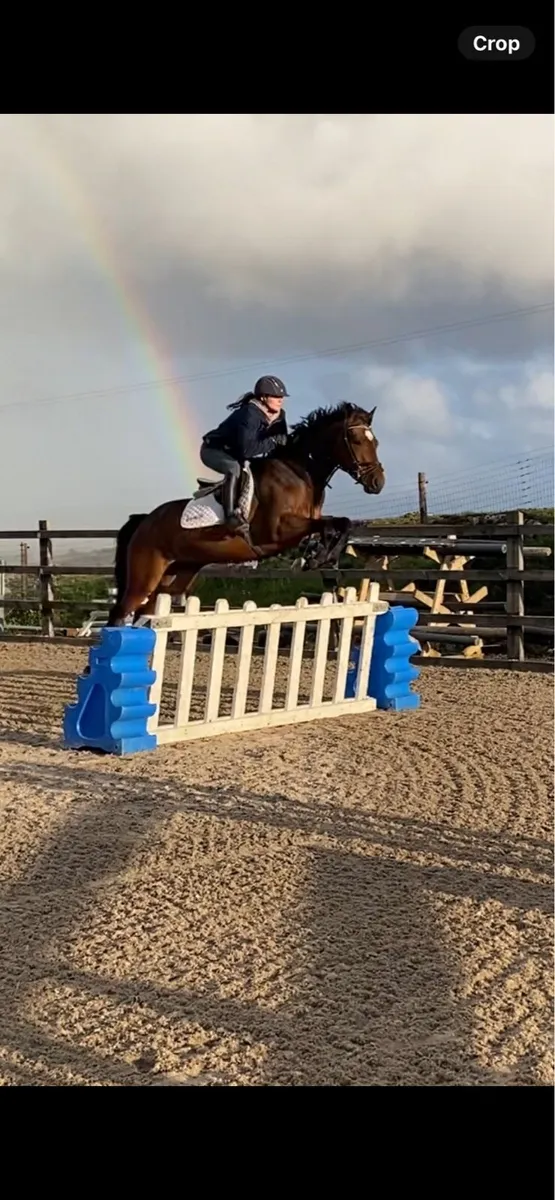 Talented Allrounder - Image 4