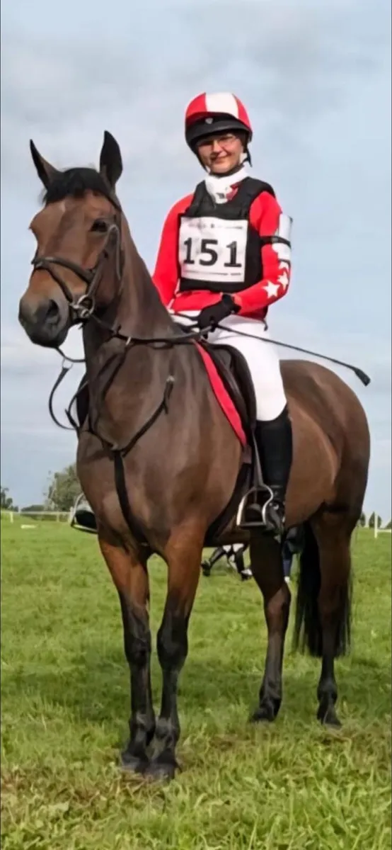 148 Conamara Pony - Image 2