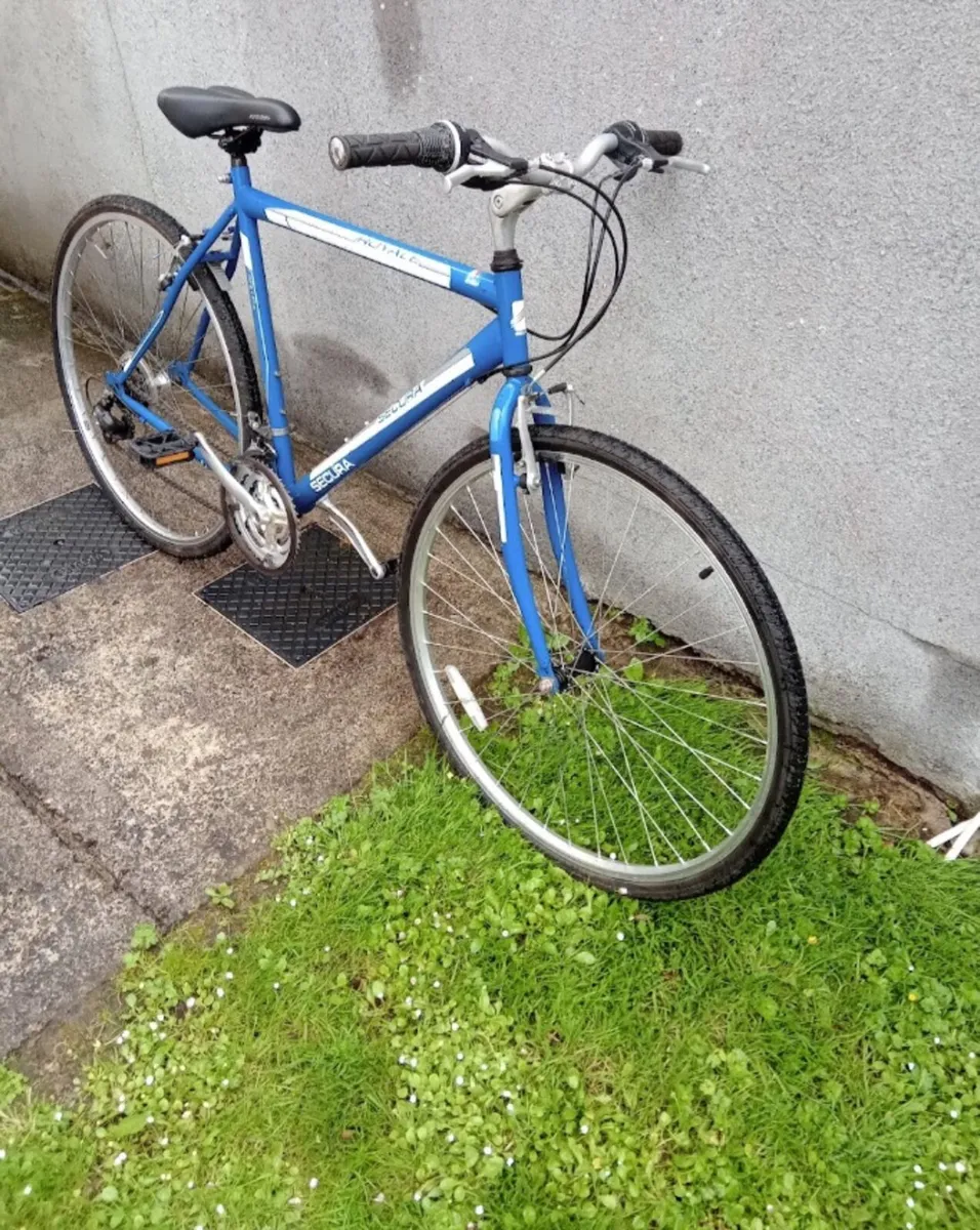 Bike - Image 1