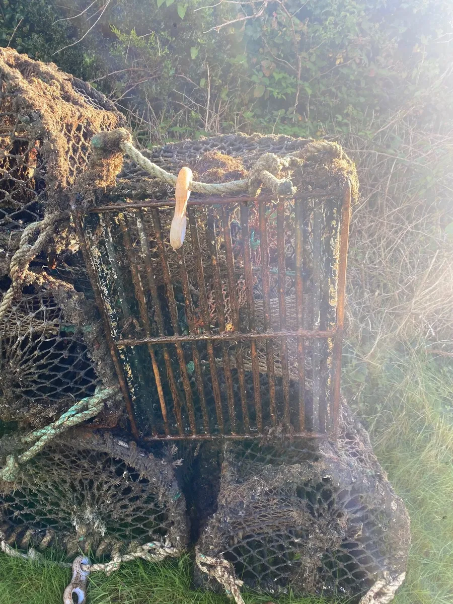 Lobster pots for Sale or Swap - Image 2