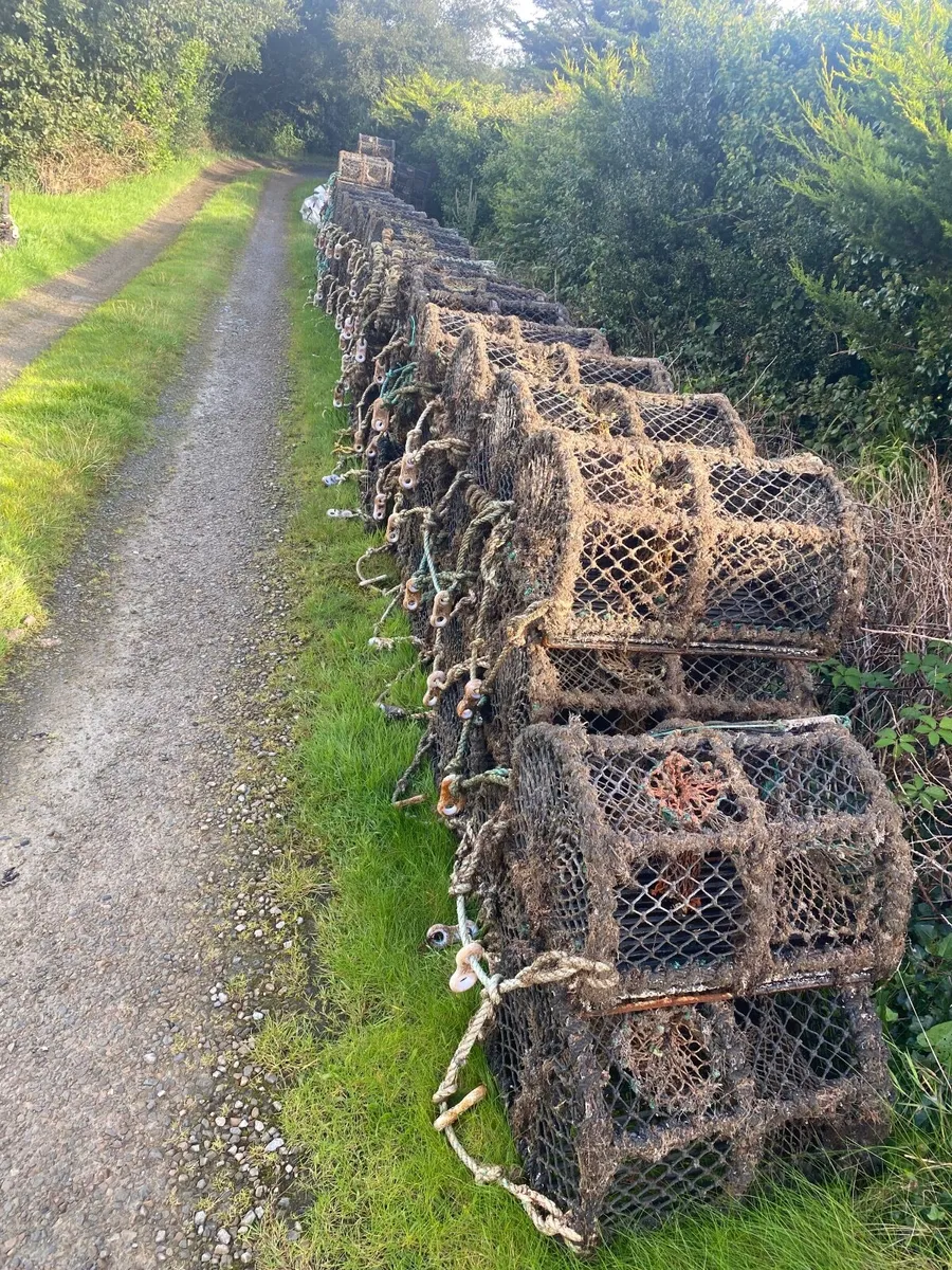 Lobster pots for Sale or Swap - Image 1