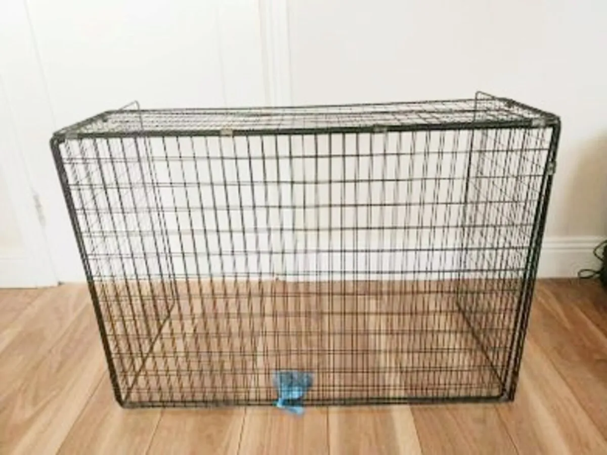 Fire Guard - Image 2