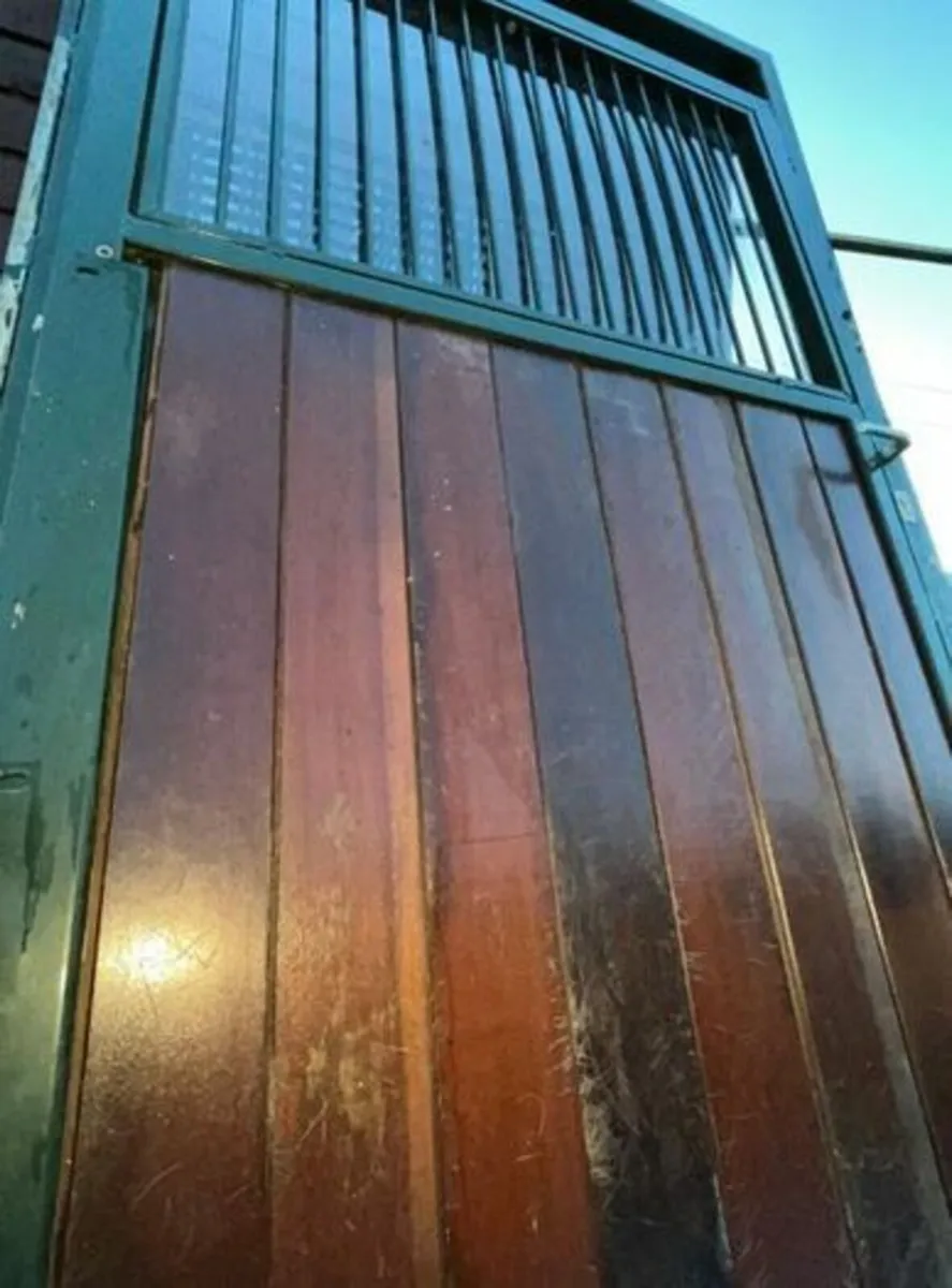 Galvanized Steel Door and Frame, Solid Mahogany - Image 1