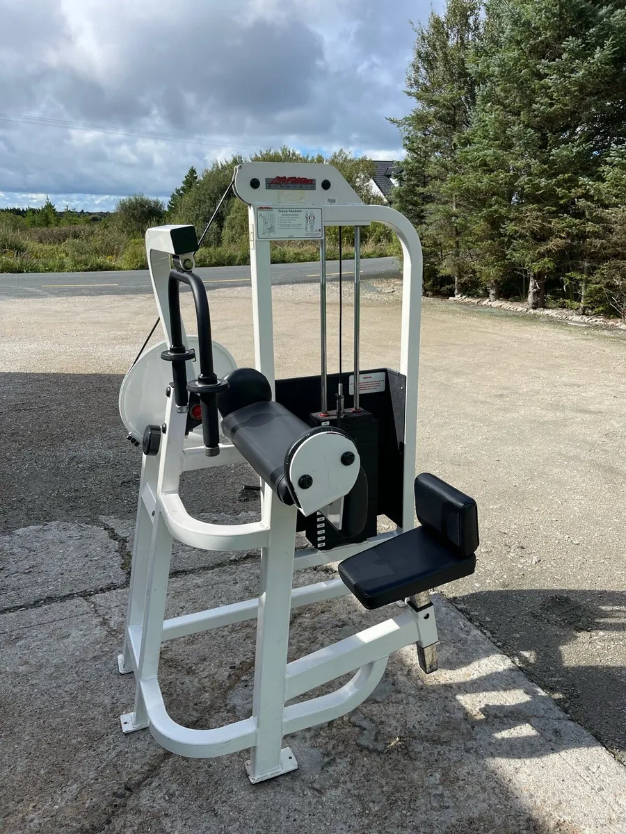 Life Fitness Pro 1 Tricep Extension - Image 1