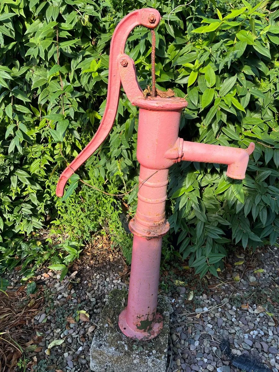 2 Garden ornaments  seeder and pump - Image 2