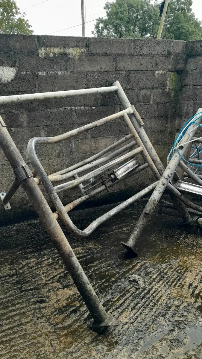 Milking  Machine parlour gates - Image 2