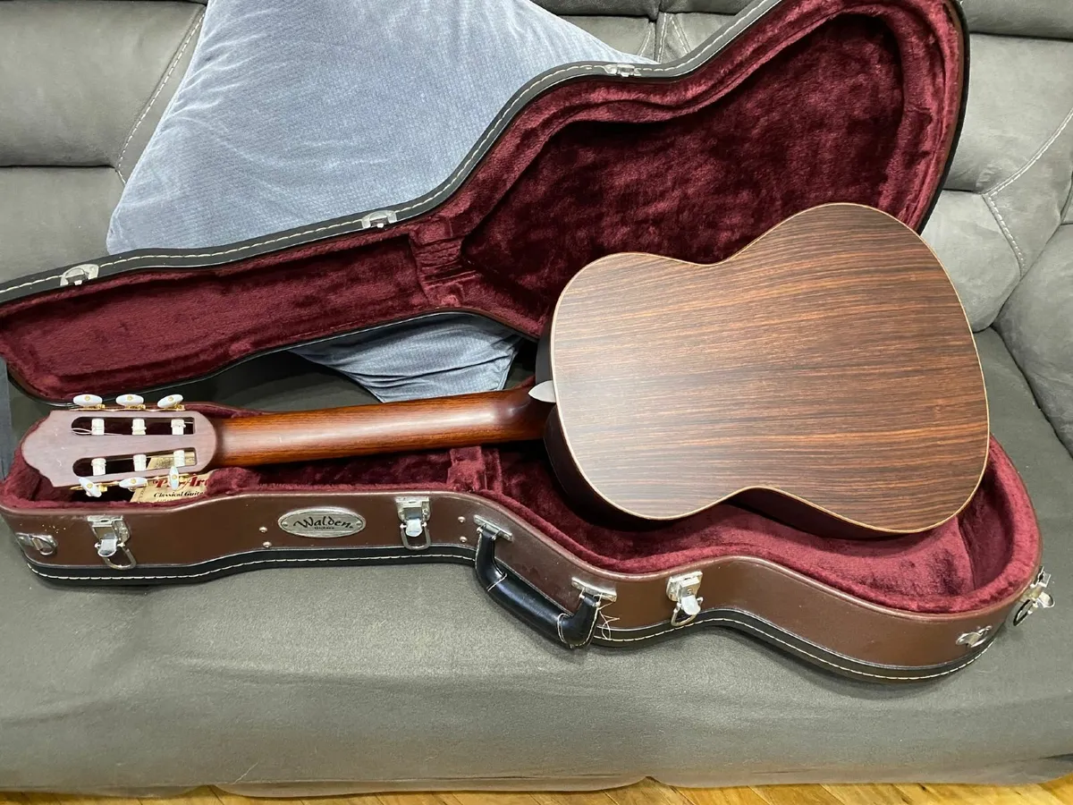 Walden Classical Guitar - Image 3