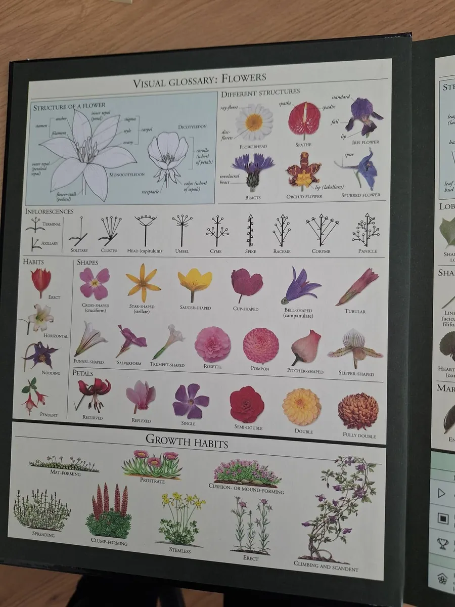 RHS A-Z Encyclopedia of Garden Plants - Image 2