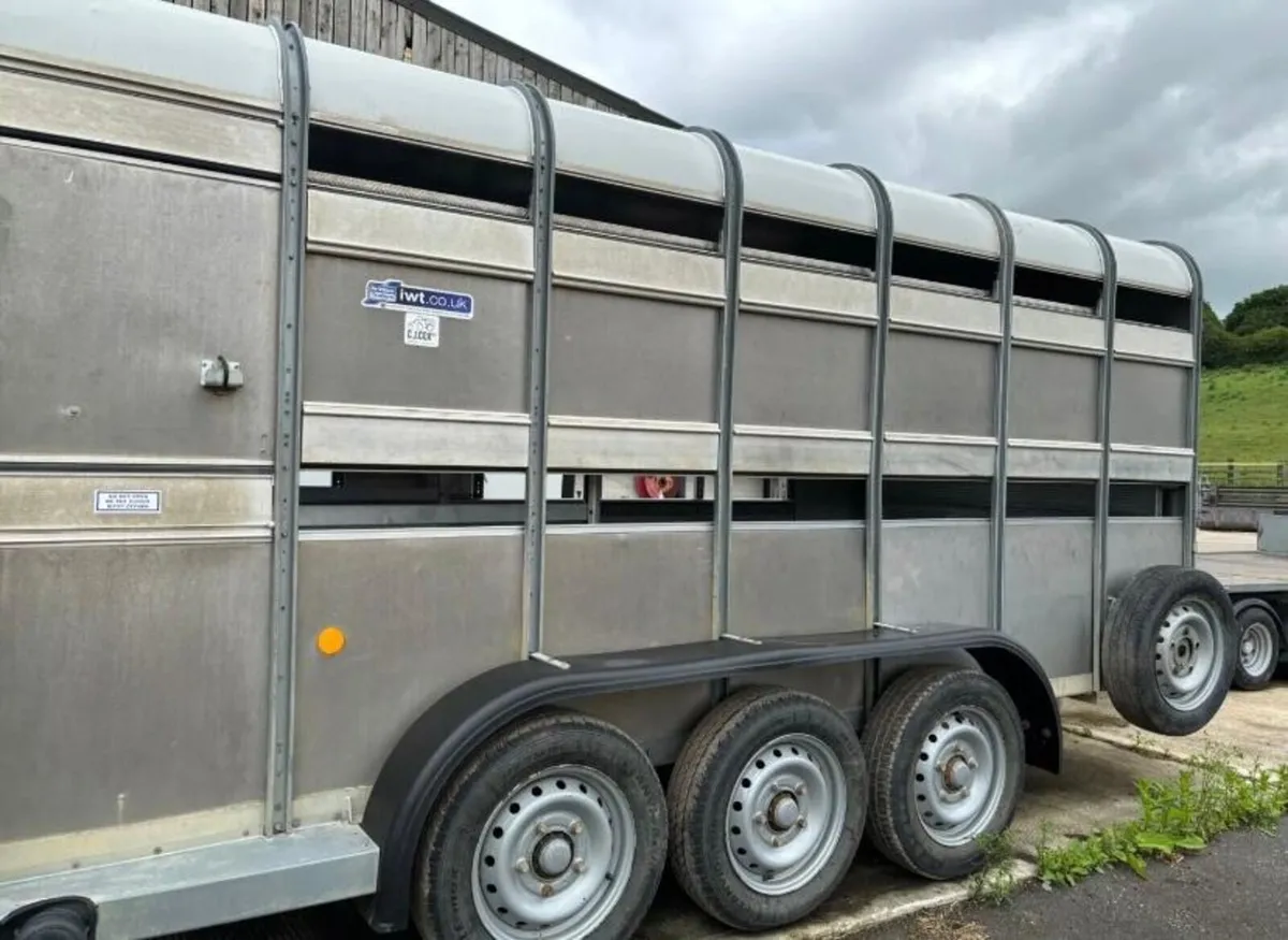 IFOR WILLIAMS LIVESTOCK TRAILER - Image 2
