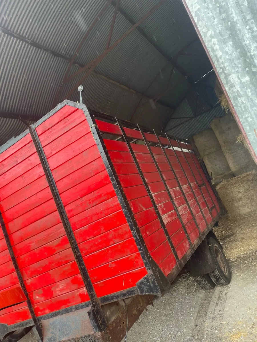 Cattle trailers - Image 1