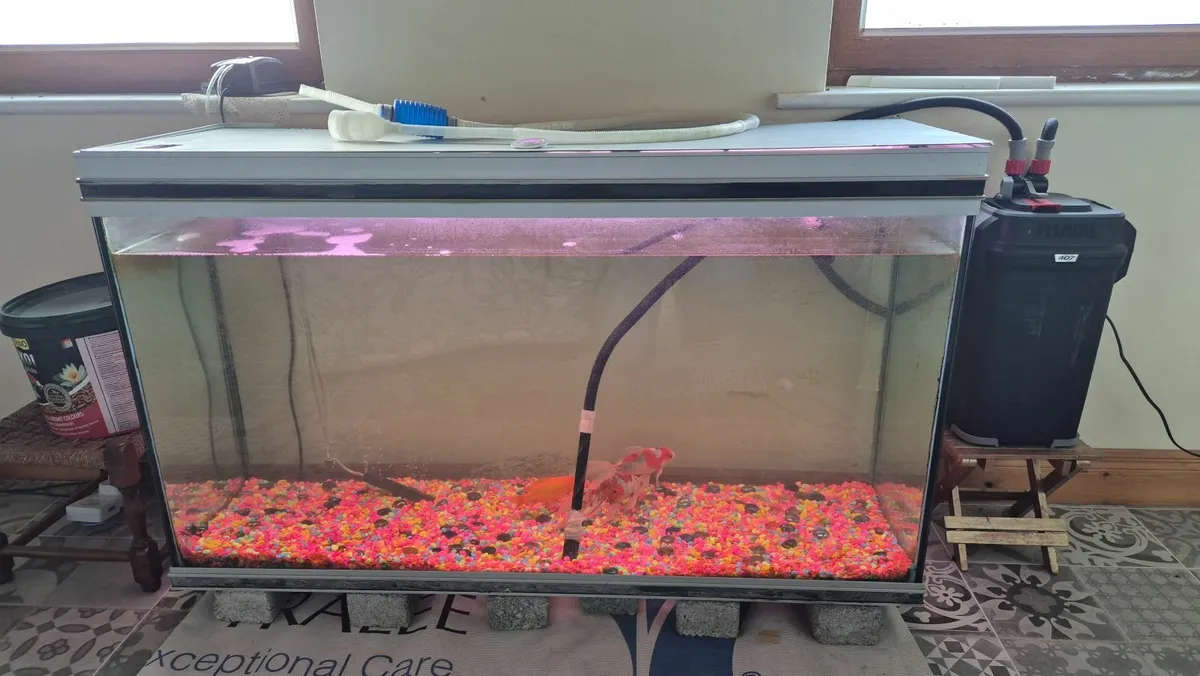 aquarium  300 L - Image 1
