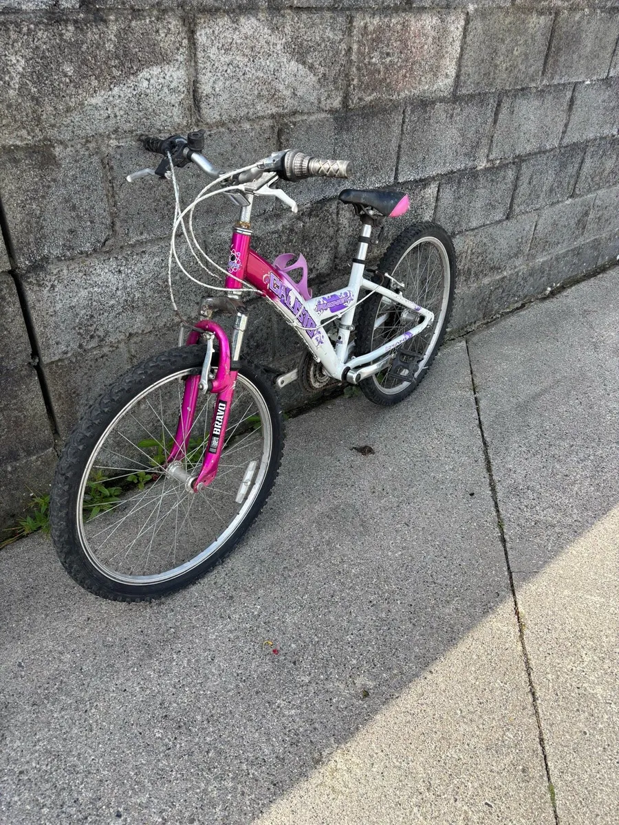 Bicycle X 2 - Image 1