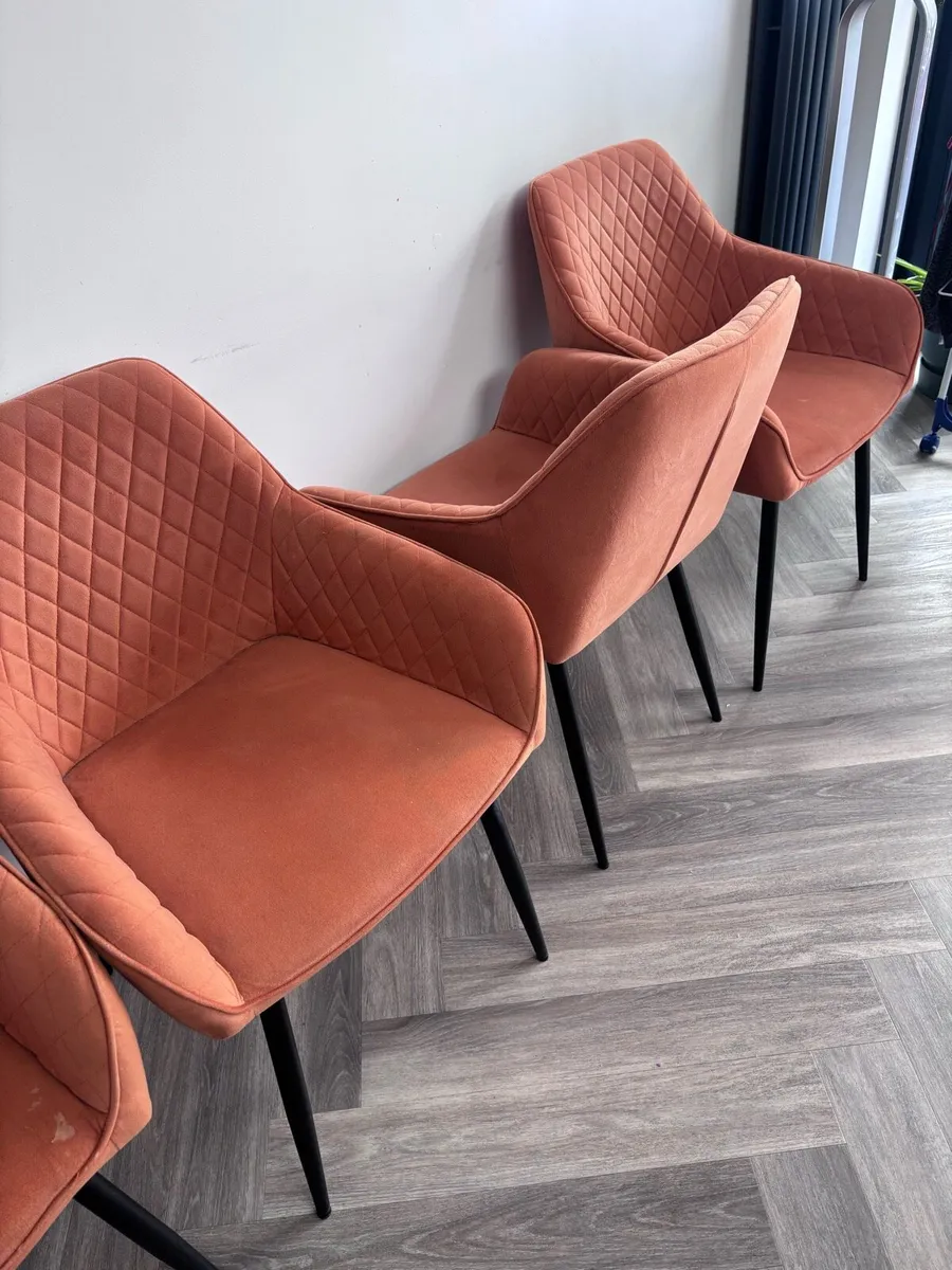 4 Comfy Dining Chairs - Image 2