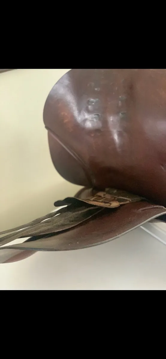 Saddle - Image 1