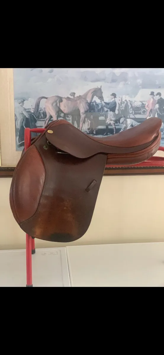 Saddle - Image 4