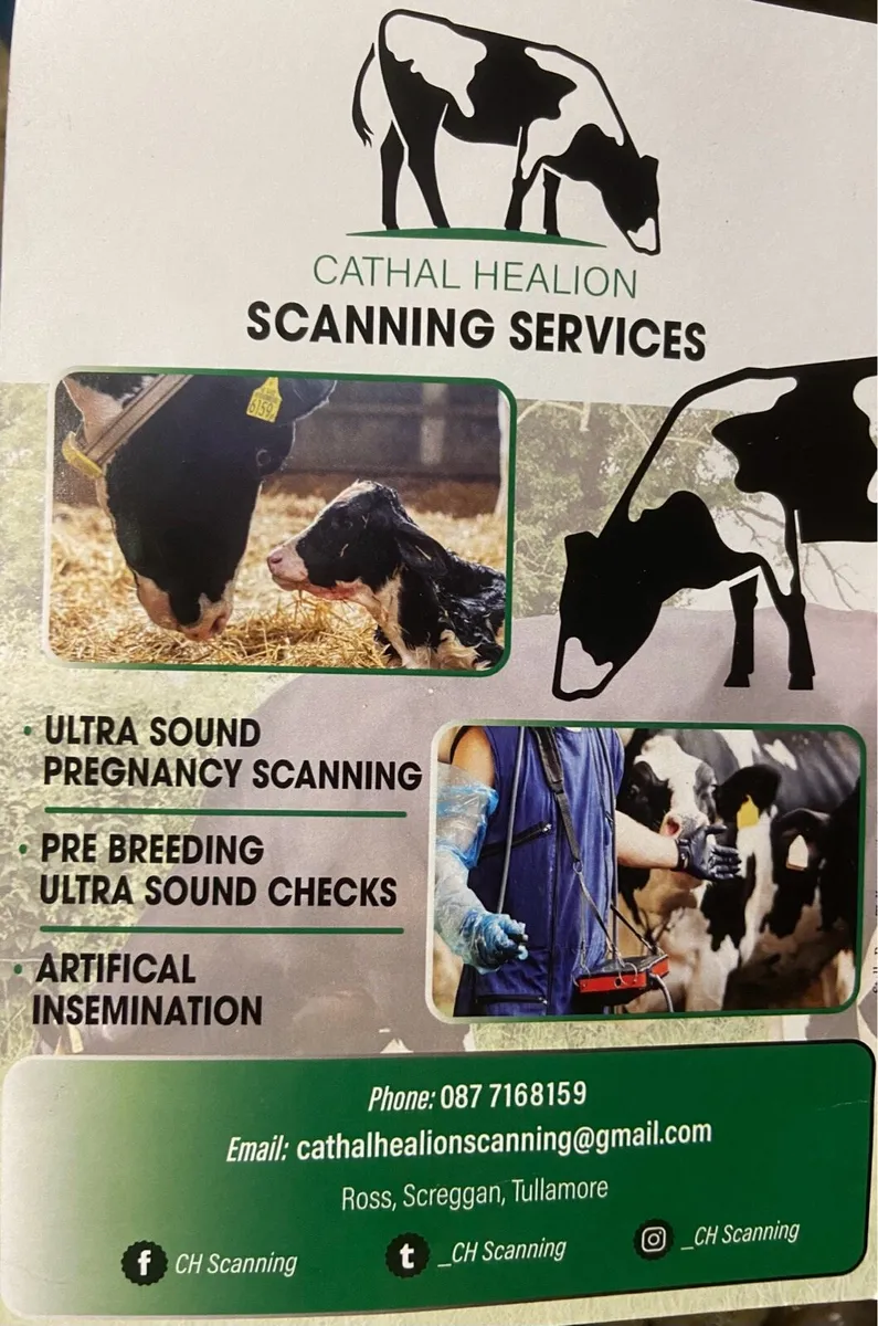 Scanning service - Image 2