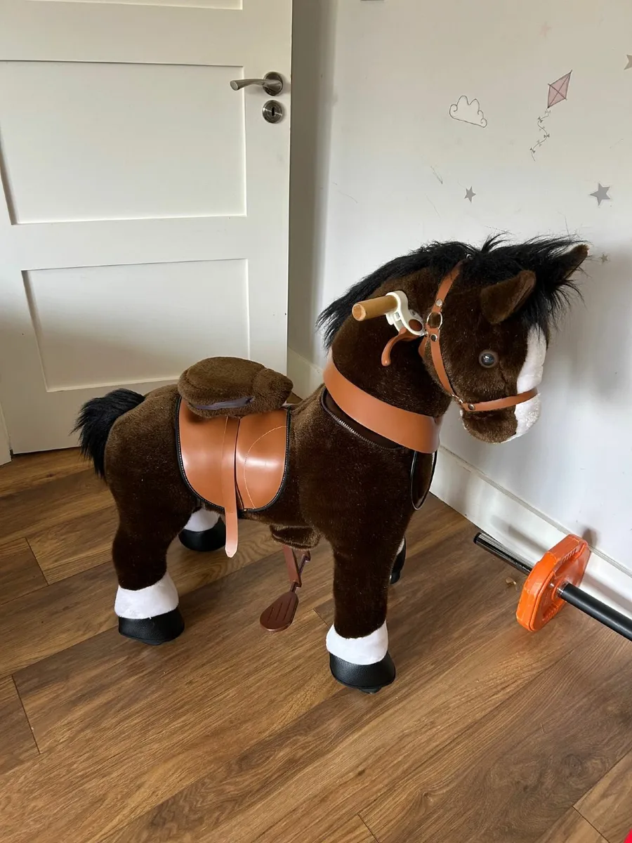 Riding Pony for kids