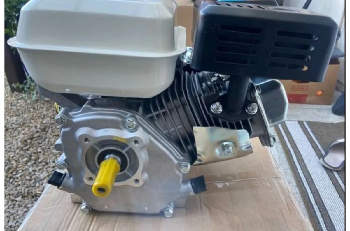 4 Stroke Engine Petrol   NEW - Image 3