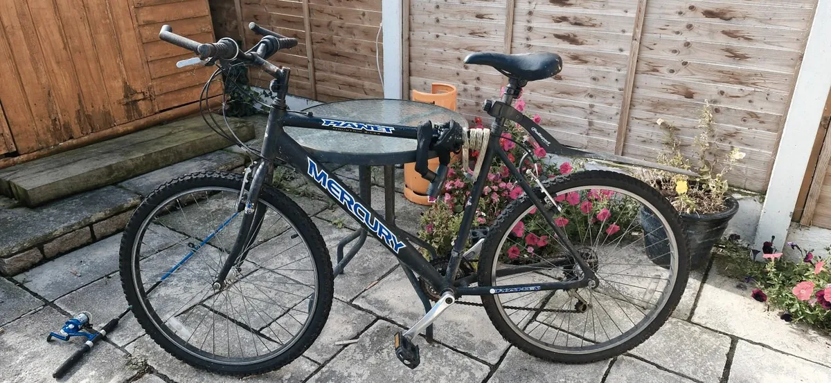 Bicycle