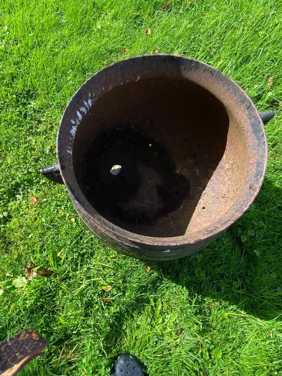 Garden - Image 1